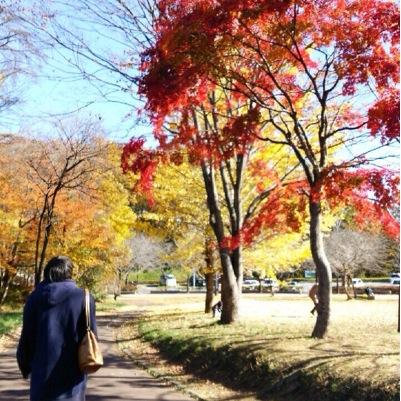 _kerokkuma_'s profile picture. aiko。sirius31th。テニス。ユース。ゲーム。千葉英和高校。