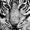 John Lebrun - @Johnlebrun2607 - Twitter