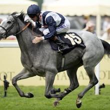 GaryRacing07's profile picture. Racing fan, picks the odd winner from time to time. Rock Of Gibraltar, Sky Lantern, Sire De Grugy and Cue Card few of my fav horses. MUFC