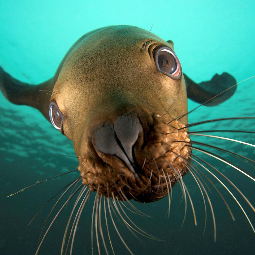 PhemeLondon's profile picture. Pheme is a start up that leverages the latest technology to bring innovation to the recruitment industry. Launch Jan 2015,follow us for news on our new product!