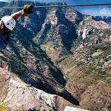 palaciomeonita's profile picture. 