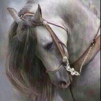 ( سبحان الله وبحمده سبحان الله العظيم ) !! ارتقو فقد ازدحم القاع ،،،،