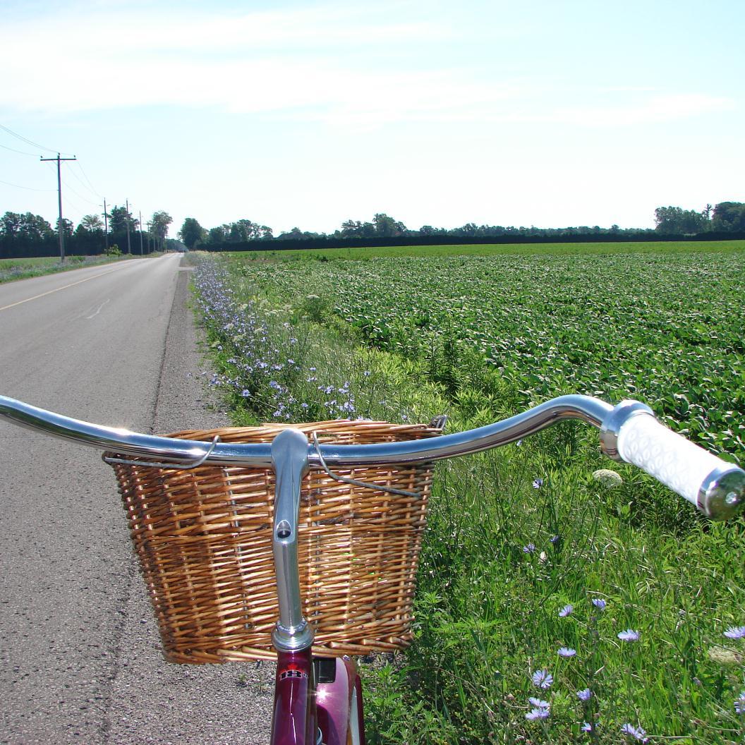 Have bicycle basket, will travel
Elementary Teacher; Award-winning Freelance lifestyle writer; contributor https://t.co/iIcdsibnxE;  https://t.co/gTdMgHsBFQ