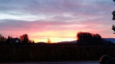 LennoxBurri's profile picture. 