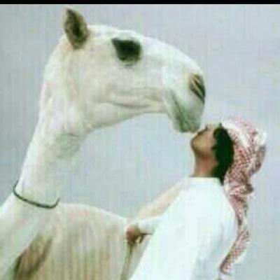 ‏المجامل بعض الاحيان مايقضي لزوم ⁰ لابـو النفــس الضعيـفـه ولا ابو جدهــا