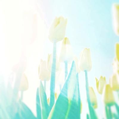 人の携帯見たら癖になるぞ？