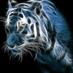 الحسني (@emart344) Twitter profile photo