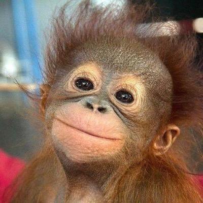 JonObregon's profile picture. General Manager of Producer & DJ Pinto / For All Inquiries Please Email: pintomusic.mgmt@gmail.com