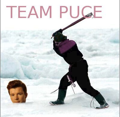 teampuce's profile picture. 