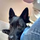 Pam Beyer - @PamBeyer - Twitter