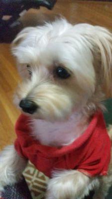 peterrod16's profile picture. 