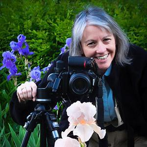 Anita Pollakさんのプロフィール画像