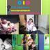 CID Oeste Fotos (@cid_oestefotos) Twitter profile photo