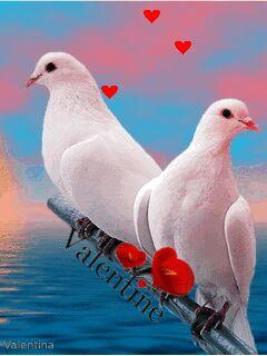 شاعر وحساس جدا