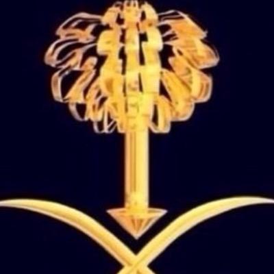 BnAlsaa's profile picture. 