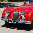 CJA_Club's profile picture. CJA is a car club dedicated to the preservation and restoration of all classic Jaguar automobiles.