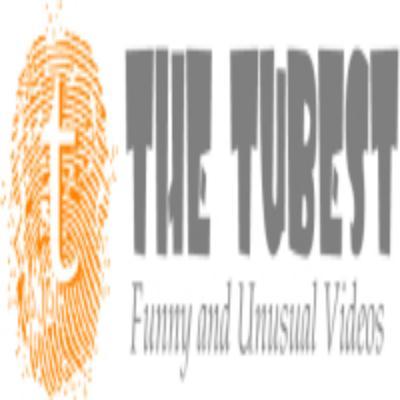 TheTubest's profile picture. Looking for really funny stuff? http://t.co/DY19uwIoMb is being updated several times a day  with the most funny stuff on the net! Jump in and enjoy!