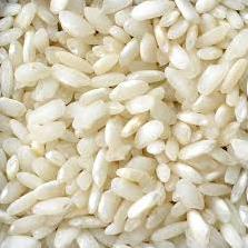 risoLApopup's profile picture. 