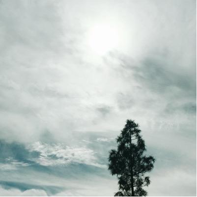 FayzaAlshaalan's profile picture. architect