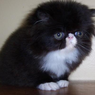 nyagulley86's profile picture. 