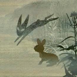 kirche_wasser's profile picture. I frequently need someone to remind me when I am. #montauk #phoenixII #milab #deltaT #DID