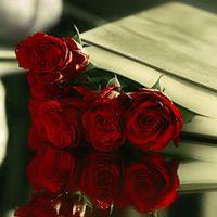 ‏‏‏‏‏‏‏‏‏  ،،آحب أﻟھدوء .. فَهو ﻧصف مزآجي....