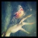 caroline barber - @phonyserval41 - Twitter