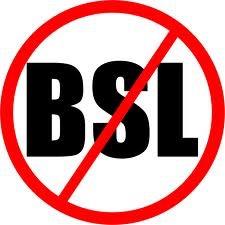 BslStop's profile picture. Save a bull, love a bull❤️ Raising awareness one step at a time. Please subscribe to be informed of and inform others of the truth about these loving animals.