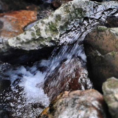 lokoman414's profile picture. 