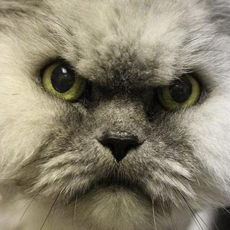 rnmorris84's profile picture. 