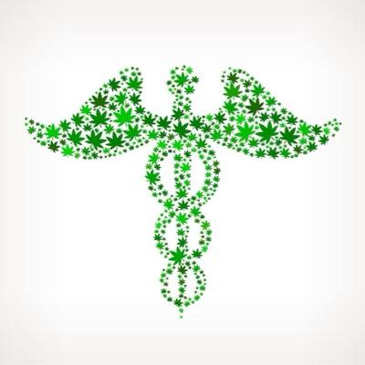 We aim to save kids lives through awareness and understanding of medical cannibis with government support, research, and a medical framework.