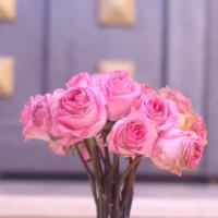 فَايِزَهْ الرويلي - (@calmness_f) 's Twitter Profile