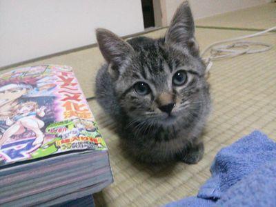 igC2f562kPFzTzH's profile picture. 