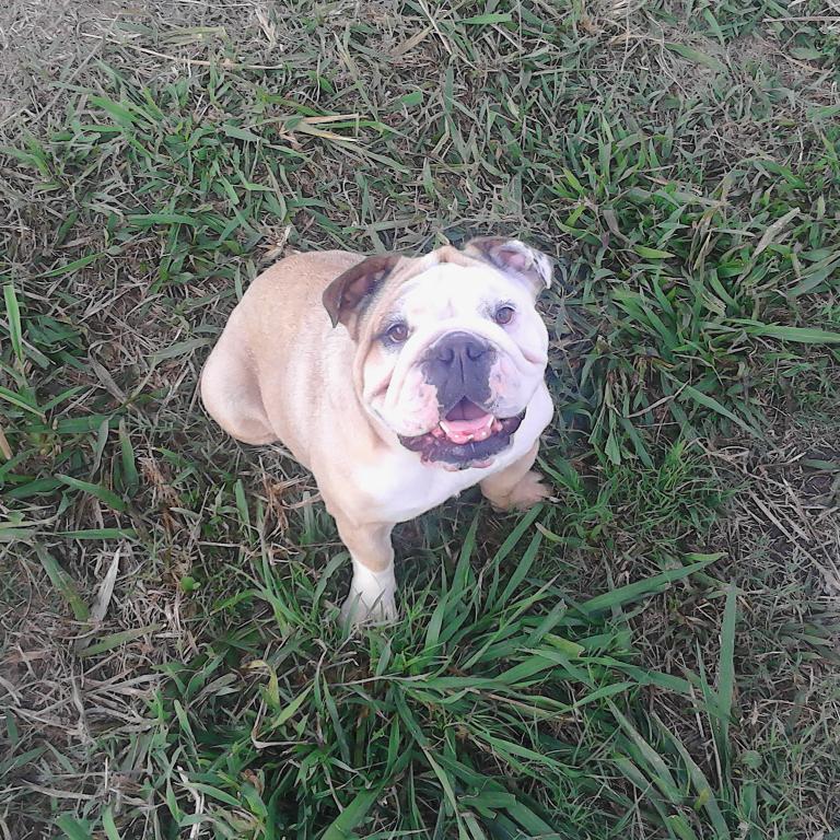 anamilebe's profile picture. Ingeniera de Sistemas