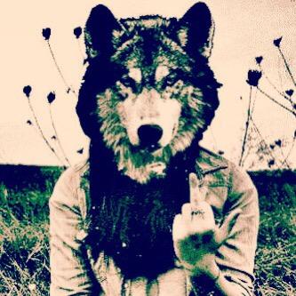 Air_Wolf_'s profile picture. Every so often there comes a man who sees the universe in a totally new way, who's vision upsets the very foundation as we know it.