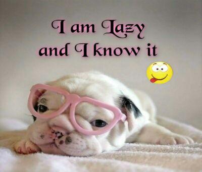 c1f43b21c80e425's profile picture. what up