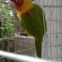 Mildred Delgado - @mildreddelgad20 - Twitter