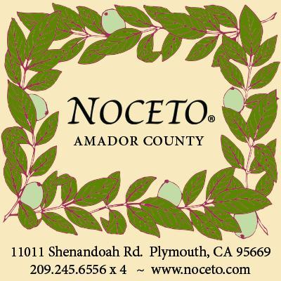 We are a small, family-run winery. We are renowned for our Sangiovese wines. You must be of legal drinking age to follow and use our hashtags. Pet Friendly!