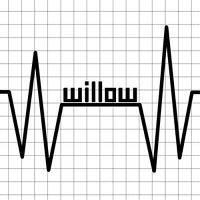 magazine_willow's profile picture. 블로그 + ETC