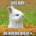 Luis Fercho (@perritoluis) Twitter profile photo