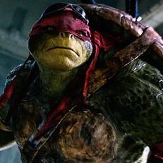 ActualRaphael's profile picture. Biggest bitch in the lair.