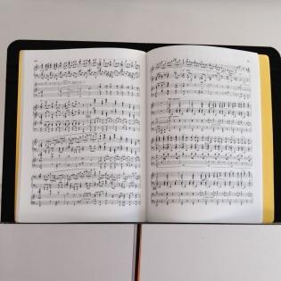 音楽情報をかき集めてます。クラシック、ジャズ、ロック、ファンク、テクノ…民族音楽だって。音楽は唯一世界共通の言語。だからもっと知りたい