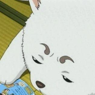 たけのーちさんのプロフィール画像