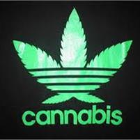 fuck it . lets smoke weed about it