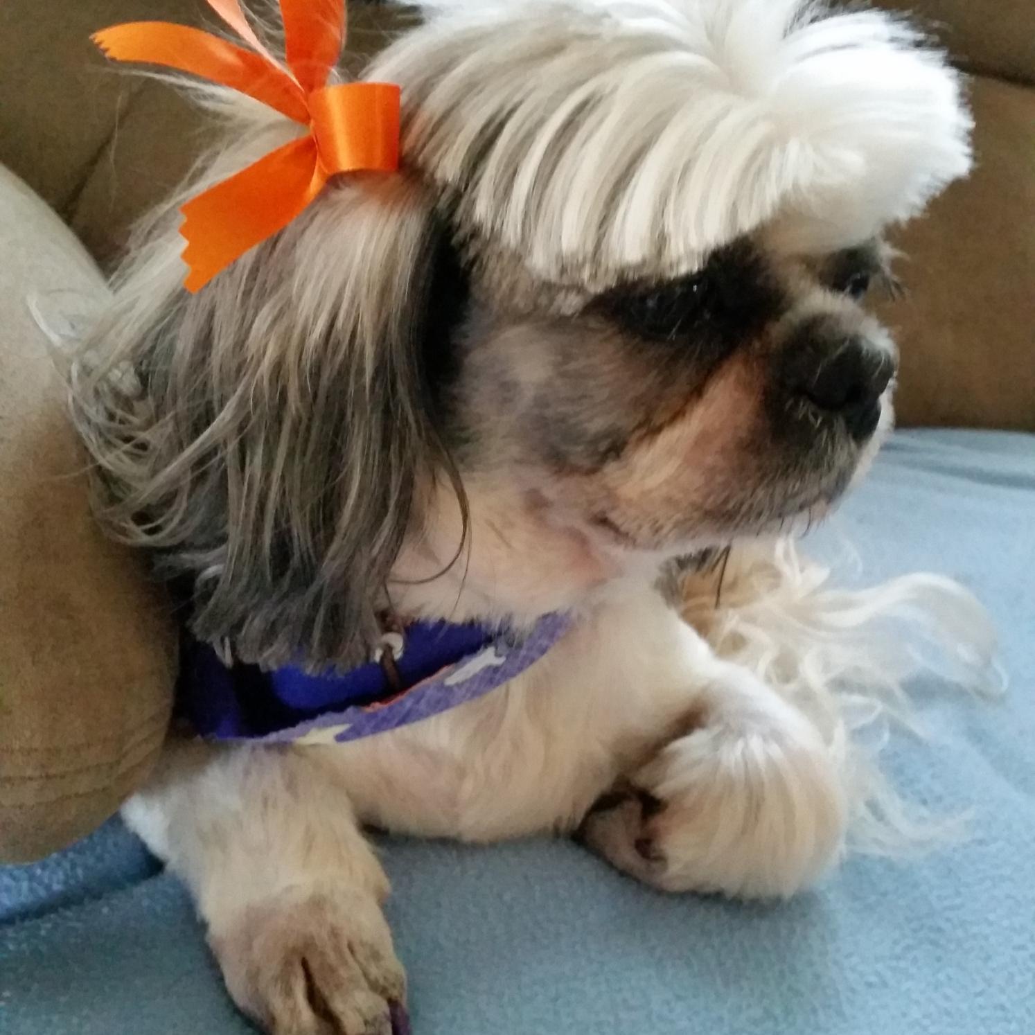 Noel_Rocs's profile picture. 20s :) Parent♥Writer & Blogger. I ♥ my family, friends, pets; art; natural/ #organic; RnR music, cooking  & sample boxes. #beauty #spd #asd #homeschool #dogs