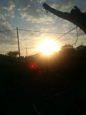 kantoilah's profile picture. ASSALAMUALAIKUM!!!シ nothing to say just wanna be friends...ouhh thnks if you follow ṃḙ,i promise will follow  ⓎⓄⓊ back... 18 y/0