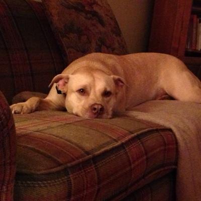 gracestoeckle's profile picture. 