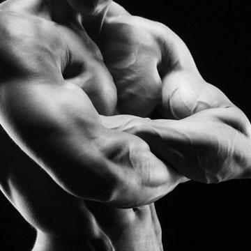 Account for training tips, workouts/meals and supplement reviews. UCF. shut up and lift.