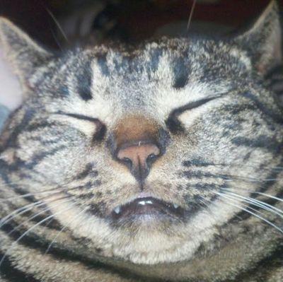 6074073440ff463's profile picture. 