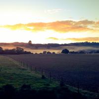 simon heddle-baker (@leguvnor) 's Twitter Profile